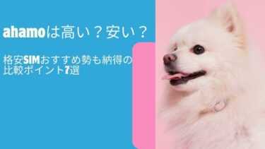 ahamoは高い？安い？格安SIMおすすめ勢も納得の比較ポイント7選