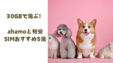 30GBで選ぶ！ahamoと格安SIMおすすめ5選