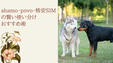 ahamo・povo・格安SIMの賢い使い分けおすすめ術